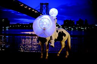 The Placeless Place (Video Still), Williamsburg Bridge